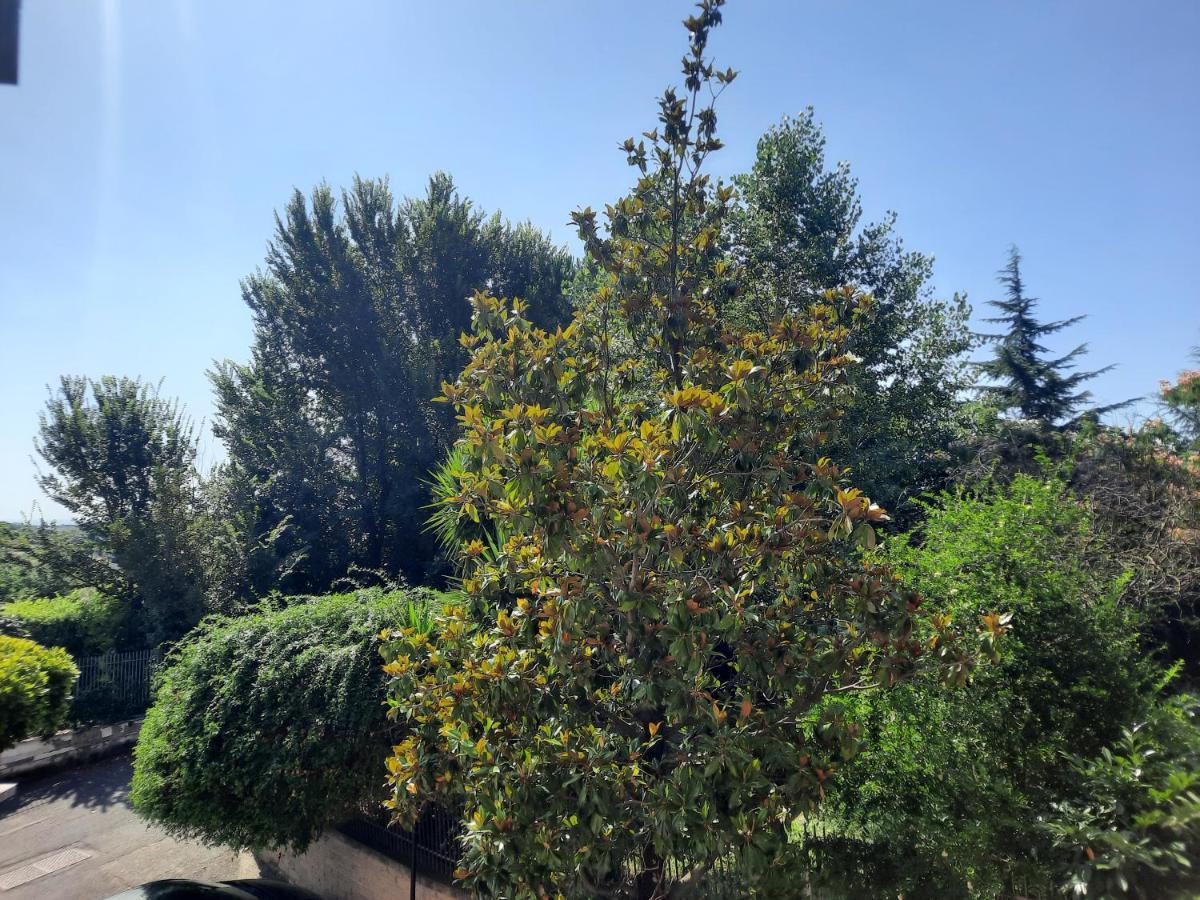 Appartamento La Casa Di Livia Roma Esterno foto